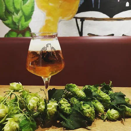 Brauhotel 호텔 본