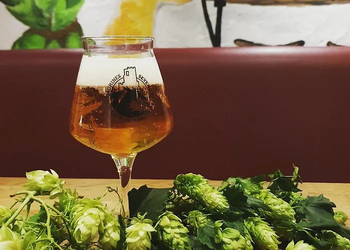 Brauhotel Hotel Bonn